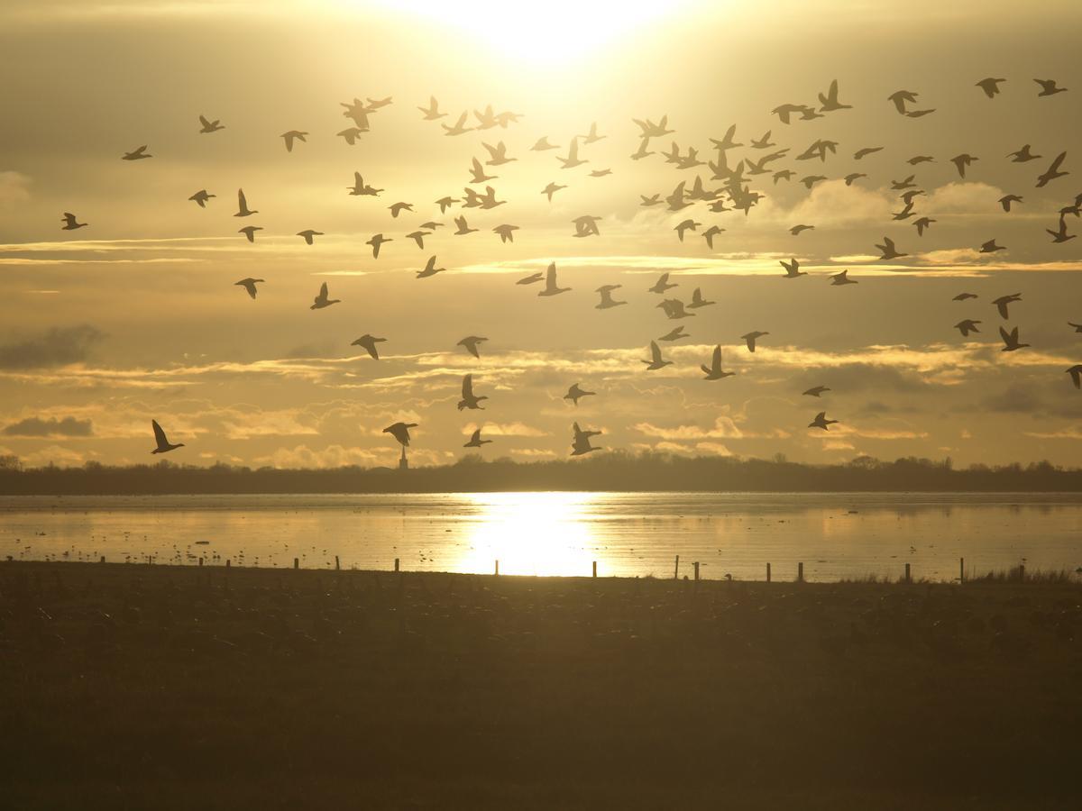 Charme Logies Wad Zout 'T Villa Westerland Esterno foto