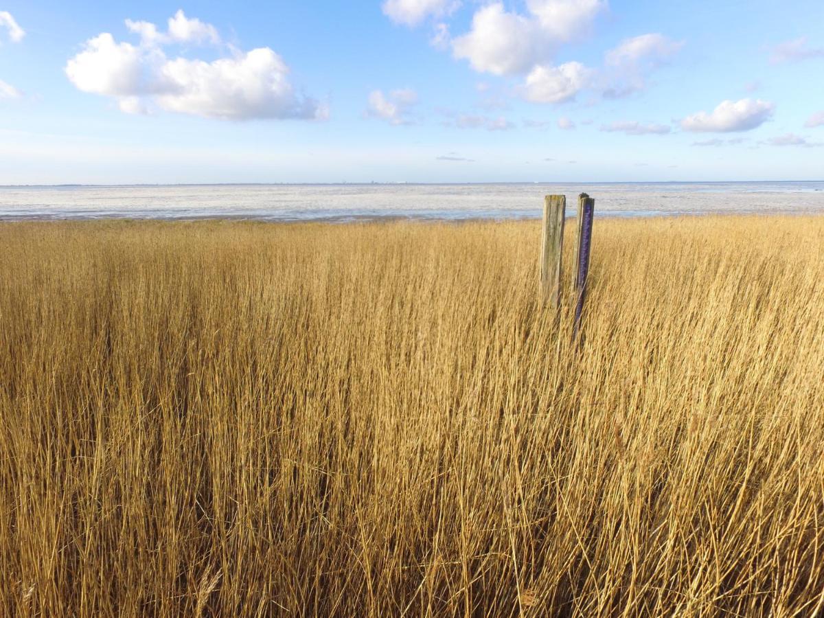 Charme Logies Wad Zout 'T Villa Westerland Esterno foto